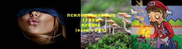 сатива Богородицк