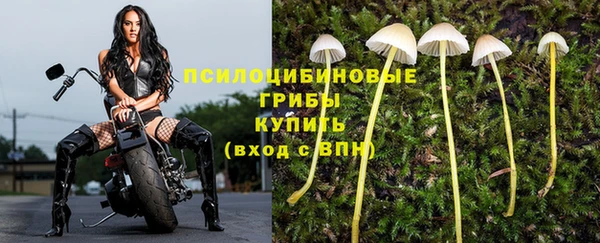 винт Богородск