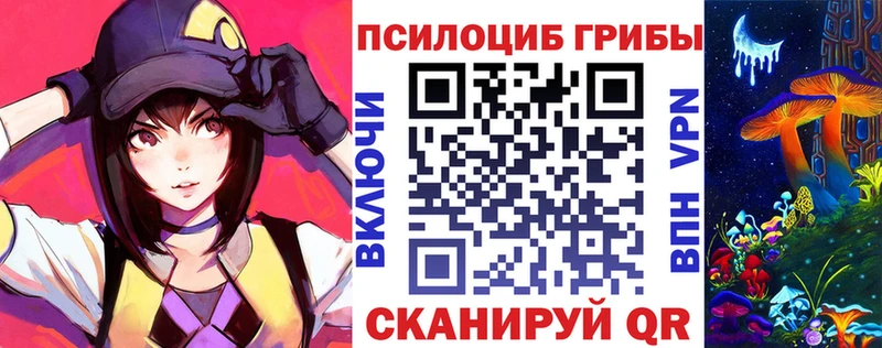 kraken сайт  Богучар  Галлюциногенные грибы Psilocybe 